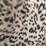 ladies dress LIPSEY. Brand new Image 4