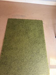 rug