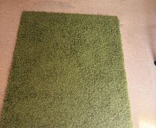 rug