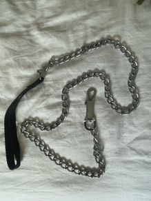 Dog Lead