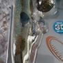 Savage Gear 3D hard eel tail bait 25cm 109g Image 5