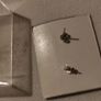 Sterling silver earrings Image 5