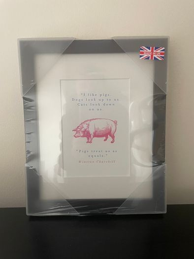 Framed Humorous Prints