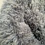 Brooklyn dog bed Image 5