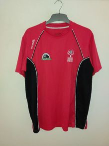 munster reds cricket jersey