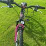 bike Image 4