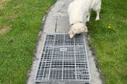 Large dog crate