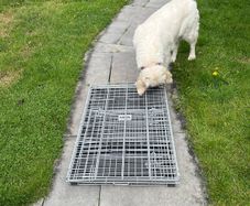 Large dog crate