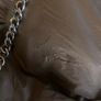 Vintage  Handbags From 10 euro EACH Image 5