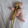 Small Collectable teddy bear Image 5