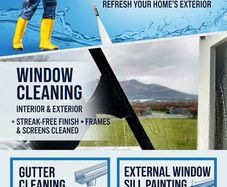 Window Cleaning Services