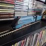 Model Train Image 2