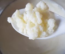 Milk Kefir Grains in glass jar with milk
