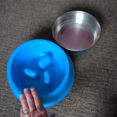 dog bowls