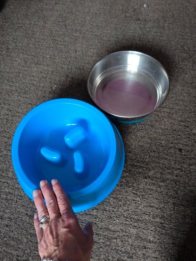 dog bowls