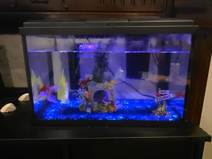 fish tank