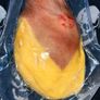 jamon Serrano Spanish ham 5 kg Image 3
