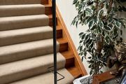 Lovely Sturdy Coat Stand - Umbrella Stand - Can Deliver