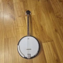 Remo 4 string Banjo with carry bag