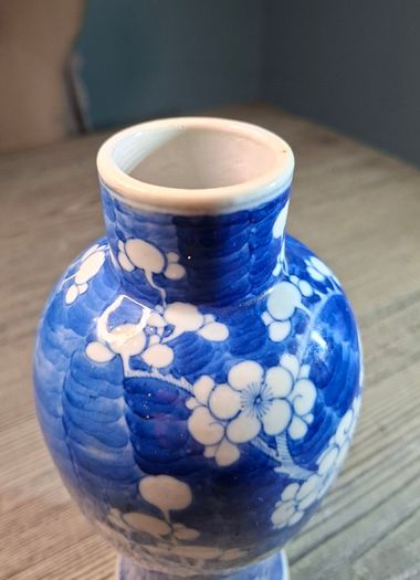 Chinese Prunus Pattern Vase Qing
