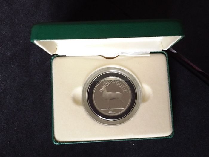 Official Irish Cupro-Nickel Proof, One Pound Coin - Boxed with Certificate