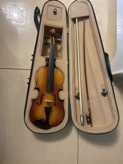 violin
