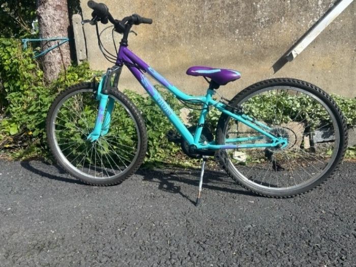 Girls 24 Inch Bicycle