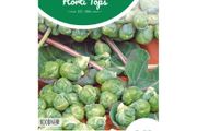 (B) Brussels Sprouts Roodnerf Seeds 2g (233503)