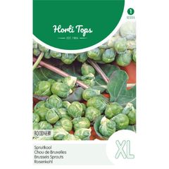 (B) Brussels Sprouts Roodnerf Seeds 2g (233503)