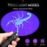 LED UV Flashlight Image 5
