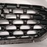Hyundai Santa Fe Main Grille Image 4