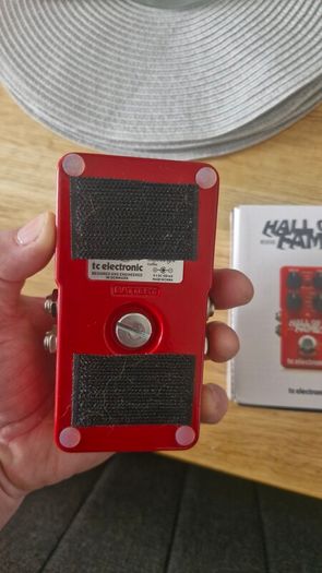 reverb pedal,  hall of fame