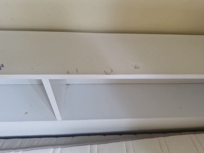 Day bed single white priced to sell