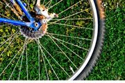 bike wheels &amp; tyres