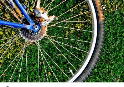 bike wheels & tyres