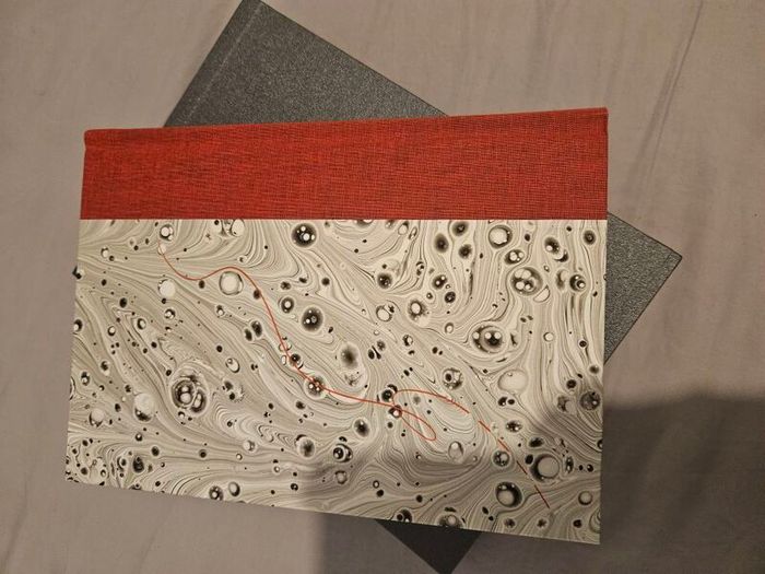 Lyras - Coraline by Neil Gaiman - Limited Red Thread Edition of 500 Signed by the artist