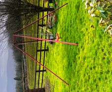 Swing