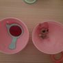 Lol dolls Image 7