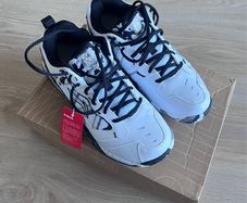 badminton shoes Lining Invincible Ace