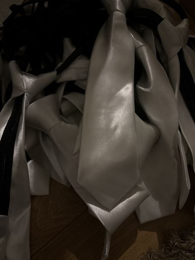 Ties