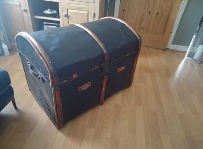 travel trunk