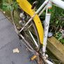 Project bike Image 6