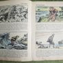 The Story of Robinson Crusoe - Told in Pictures Image 8