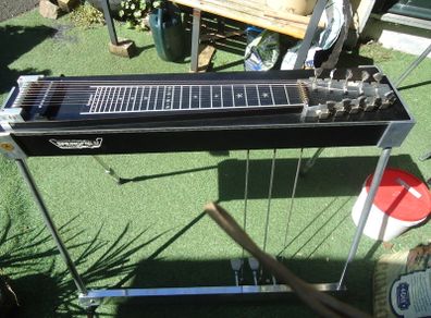 Pedal Steel Guitar