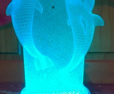 remote control 3D night light, various colours