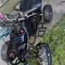 Quad Image 5