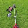 strimmer Image 3