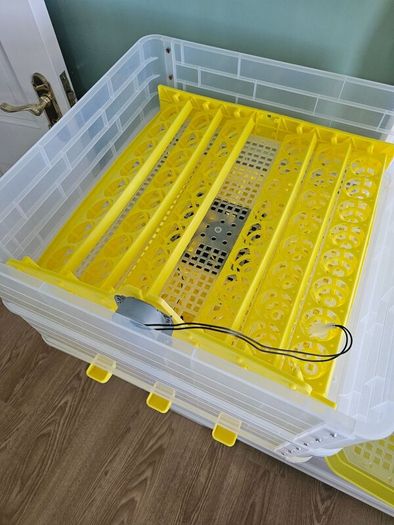 Egg Incubator