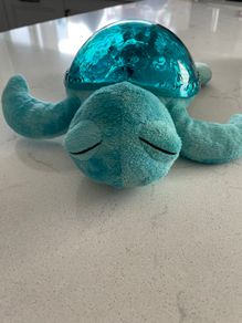Cloudb twilight turtle