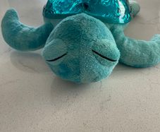 Cloudb twilight turtle